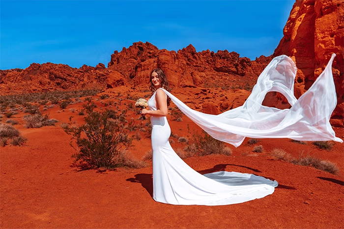 Bride in flowing dress at Valley of Fire State Park Nevada